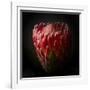 Protea Flower Close Up-George Oze-Framed Photographic Print