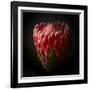 Protea Flower Close Up-George Oze-Framed Photographic Print