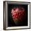 Protea Flower Close Up-George Oze-Framed Photographic Print