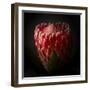 Protea Flower Close Up-George Oze-Framed Photographic Print