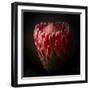 Protea Flower Close Up-George Oze-Framed Photographic Print