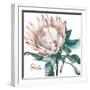 Protea I-Patricia Pinto-Framed Art Print