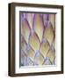 Protea, Maui, Hawaii, USA-Darrell Gulin-Framed Photographic Print