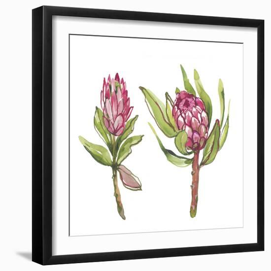 Protea Pair-Sandra Jacobs-Framed Giclee Print