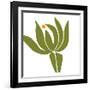 Protea-Trish Sierer-Framed Art Print