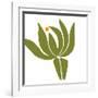 Protea-Trish Sierer-Framed Art Print