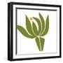 Protea-Trish Sierer-Framed Art Print