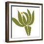 Protea-Trish Sierer-Framed Art Print