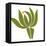 Protea-Trish Sierer-Framed Stretched Canvas