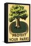 Protect Your Parks, Stately Tree-null-Framed Stretched Canvas