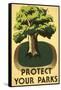 Protect Your Parks, Stately Tree-null-Framed Stretched Canvas