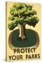 Protect Your Parks, Stately Tree-null-Stretched Canvas