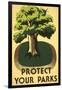 Protect Your Parks, Stately Tree-null-Framed Art Print