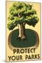 Protect Your Parks, Stately Tree-null-Mounted Art Print