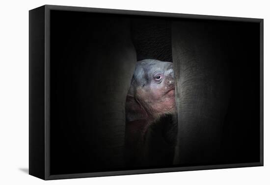 Protected-Antje Wenner-Framed Stretched Canvas