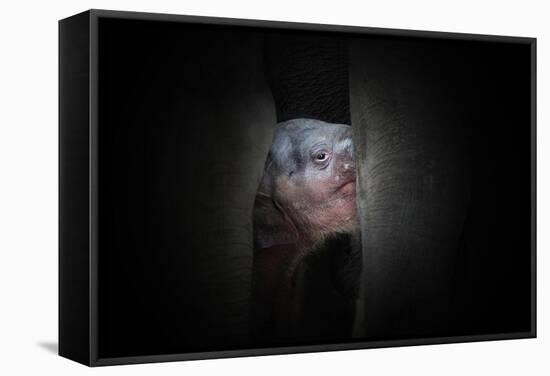 Protected-Antje Wenner-Framed Stretched Canvas