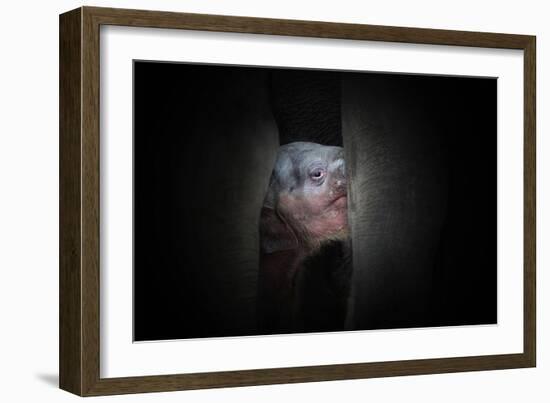 Protected-Antje Wenner-Framed Photographic Print