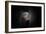 Protected-Antje Wenner-Framed Photographic Print