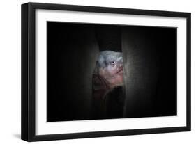 Protected-Antje Wenner-Framed Photographic Print