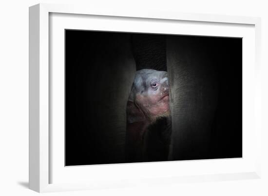 Protected-Antje Wenner-Framed Photographic Print