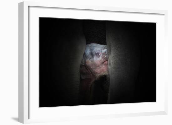 Protected-Antje Wenner-Framed Photographic Print