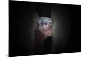 Protected-Antje Wenner-Mounted Photographic Print