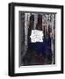 Protection, 2007-Faiza Shaikh-Framed Giclee Print