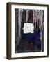 Protection, 2007-Faiza Shaikh-Framed Giclee Print