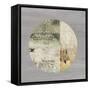 Protection Medallion II-Tom Reeves-Framed Stretched Canvas