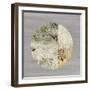 Protection Medallion II-Tom Reeves-Framed Art Print