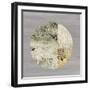 Protection Medallion II-Tom Reeves-Framed Art Print