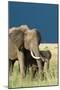 Protection-Susann Parker-Mounted Premium Photographic Print