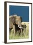 Protection-Susann Parker-Framed Photographic Print