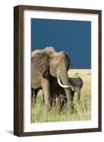 Protection-Susann Parker-Framed Photographic Print