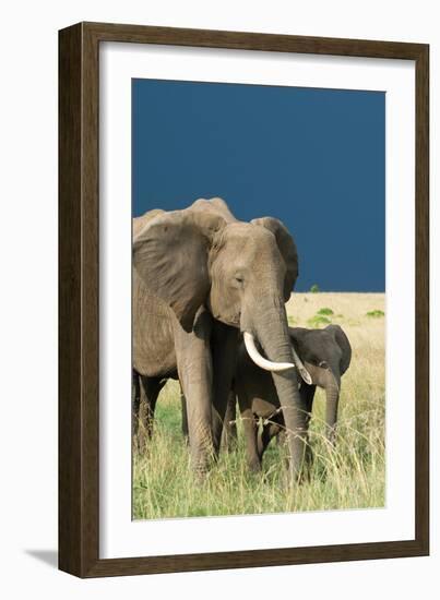 Protection-Susann Parker-Framed Photographic Print