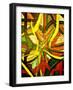 Protection-Ruth Palmer-Framed Art Print