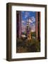 PROTECTION-CosmoZach-Framed Photographic Print