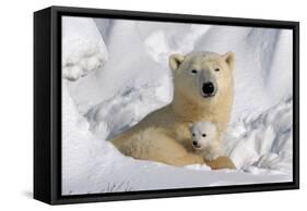 Protective Mother and Cub-Howard Ruby-Framed Stretched Canvas
