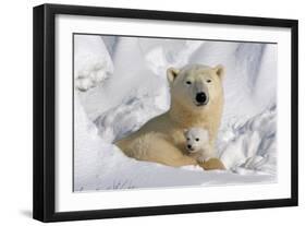 Protective Mother and Cub-Howard Ruby-Framed Premium Photographic Print