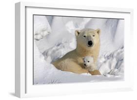 Protective Mother and Cub-Howard Ruby-Framed Premium Photographic Print