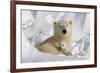 Protective Mother and Cub-Howard Ruby-Framed Photographic Print