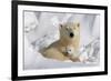 Protective Mother and Cub-Howard Ruby-Framed Photographic Print