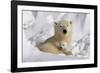 Protective Mother and Cub-Howard Ruby-Framed Photographic Print