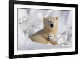 Protective Mother and Cub-Howard Ruby-Framed Photographic Print