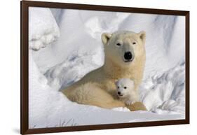 Protective Mother and Cub-Howard Ruby-Framed Photographic Print