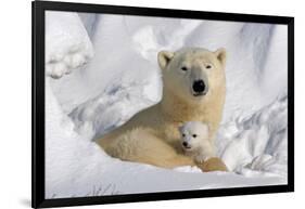 Protective Mother and Cub-Howard Ruby-Framed Photographic Print