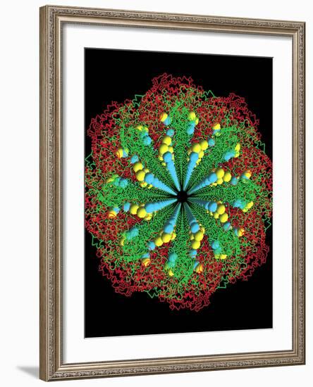 Protein Nanotube-null-Framed Photographic Print