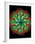 Protein Nanotube-null-Framed Photographic Print