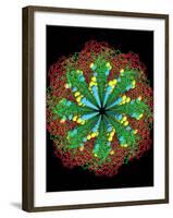 Protein Nanotube-null-Framed Photographic Print