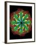 Protein Nanotube-null-Framed Photographic Print